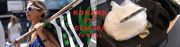 кокс Алзамай