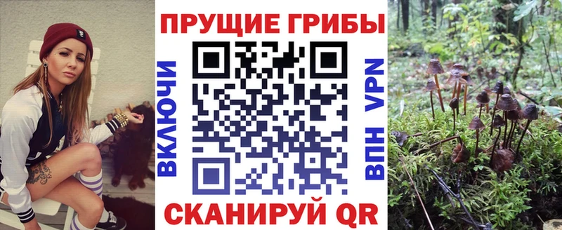 Галлюциногенные грибы мицелий наркотики Среднеколымск